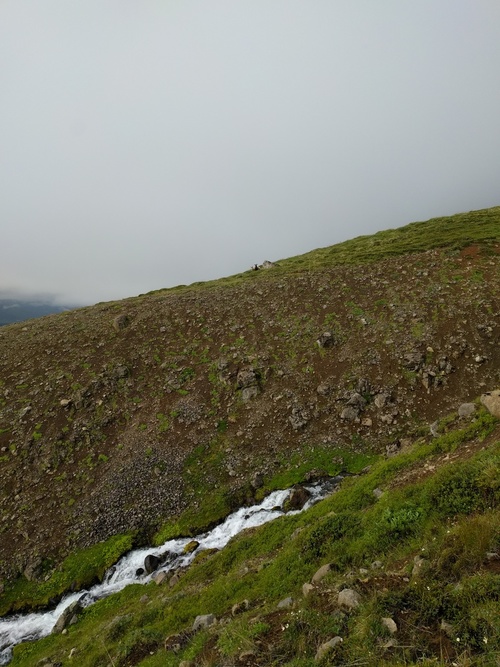 mostly grass but also a few
mountain sheep
