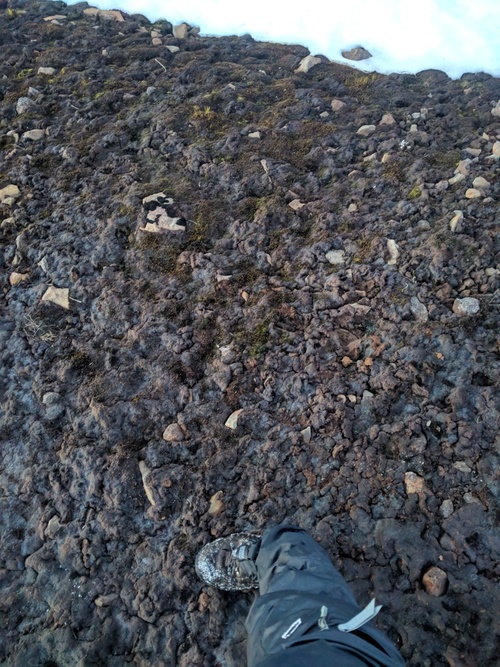rocks and plain dirt
exposed by recently melted snow