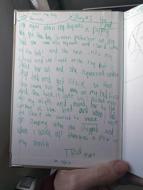 a strangely written story
about a dog