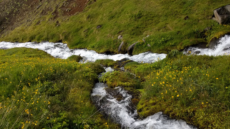 video of babbling brook (I
suppose that term applies here as it does babble)